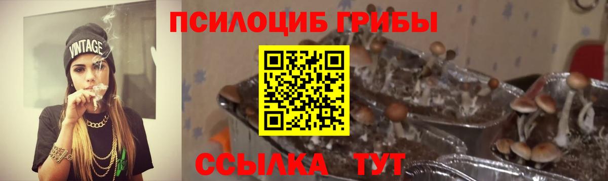 Псилоцибиновые грибы Magic Shrooms Мытищи